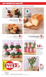 Offre Jardinage dans le catalogue Super U du moment à la page 28