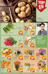 Suppengemüse Angebot & Preis im aktuellen REWE Prospekt Suppengemüse Angebot im aktuellen REWE Prospekt auf Seite 7
