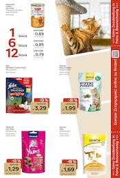 Fisch im Garten-Center Nordharz GmbH & Co. KG Prospekt in Wolfenbüttel Aktueller Garten-Center Nordharz GmbH & Co. KG Prospekt mit Fisch, "FRÖHLICHE ADVENTSZEIT", Seite 15