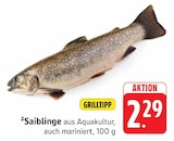 Saiblinge im aktuellen Prospekt bei E center in Teningen