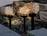 Aktuelles LED-Solarkugel Angebot bei toom Baumarkt in Dresden ab 3,99 €