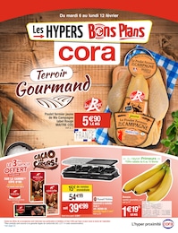 Eparcyl Eparcyl fosse septique x 24 - En promotion chez Auchan Ronq