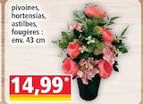 Pivoines, hortensias, astilbes, fougères - Norma à Strasbourg Pivoines, hortensias, astilbes, fougères en promo chez Norma Strasbourg à 14,99 €
