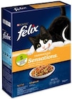 Sensations Katzentrockennahrung von Felix im aktuellen REWE Prospekt