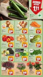 Bio im REWE Prospekt in Bornheim Aktueller REWE Prospekt mit Bio, "Dein Markt", Seite 9