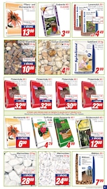 Aktueller CENTERSHOP Prospekt mit Grabpflege, "Da geht was.", Seite 5