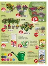 V-Markt Blumenerde im Prospekt 