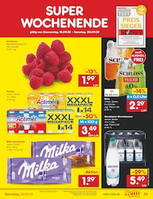 Gerolsteiner im Netto Marken-Discount Prospekt "Aktuelle Angebote" mit 60 Seiten (Gelsenkirchen)