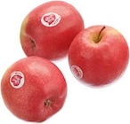 Tafeläpfel 'Pink Lady' bei EDEKA im Altenberge Prospekt für 2,99 €