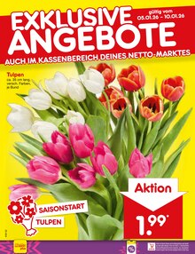 Pflanzen im Netto Marken-Discount Prospekt "Aktuelle Angebote" mit 59 Seiten (Dresden)