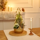 Composition plantes décoration festive dans le catalogue Carrefour