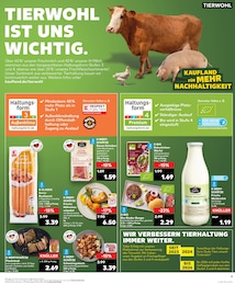 Schweinefleisch Angebot im aktuellen Kaufland Prospekt auf Seite 9
