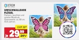 Umschnallbare Flügel im Angebot bei Marktkauf in Heilbronn Umschnallbare Flügel Angebote von XTREM TOYS+SPORTS bei Marktkauf Heilbronn für 29,99 €