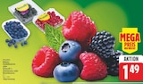 Kulturheidelbeeren im aktuellen E center Prospekt