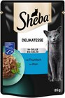 Delikatesse im Angebot bei REWE in Fürth Delikatesse Angebote von Sheba bei REWE Fürth für 0,49 €