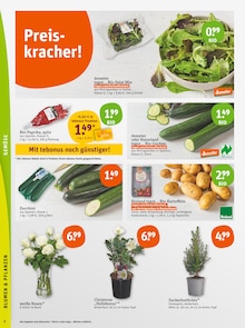 Zucchini im tegut Prospekt "tegut… gute Lebensmittel" mit 28 Seiten (München)