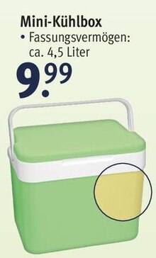 Rossmann - Mini-Kühlbox im Angebot Mini-Kühlbox bei Rossmann im Prospekt "Mein Drogeriemarkt"