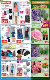 Prix et réduction Chrysanthèmes dans le prospectus Norma en cours Offre Chrysanthèmes dans le catalogue Norma du moment à la page 4