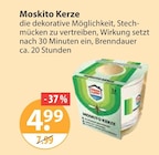 Moskito Kerze Angebote bei V-Markt Memmingen für 4,99 €