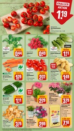Pfifferlinge im REWE Prospekt in Kerpen Aktueller REWE Prospekt mit Pfifferlinge, "Dein Markt", Seite 7
