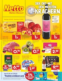 Netto Marken-Discount Prospekt "Aktuelle Angebote" mit  Seiten (Bad Düben)