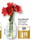 Aktuelles Amaryllisstrauß Angebot bei Marktkauf in Freiburg (Breisgau) ab 4,99 €