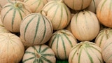Norma Schiltigheim - Promo Melons charentais Promo Melons charentais à 1,24 € dans le catalogue Norma à Schiltigheim