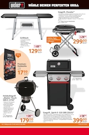 Grillkohle im Selgros Prospekt in Willich Aktueller Selgros Prospekt mit Grillkohle, "cash & carry", Seite 24