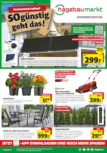 Hagebaumarkt Prospekt der Woche "Sonnenstrom tanken? SO günstig geht das!" Seite 1, 10.05.2025 bis 17.05.2025 für Munster Aktueller Hagebaumarkt Prospekt "Sonnenstrom tanken? SO günstig geht das!" Seite 1 von 16 Seiten für Munster