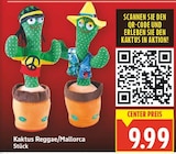 Kaktus Reggae oder Mallorca für 9,99 € bei E center im Angebot Kaktus Reggae oder Mallorca im aktuellen E center Prospekt