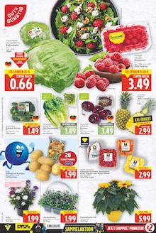 Aktueller E center Prospekt "Aktuelle Angebote" Aktueller E center Prospekt