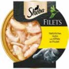 Aktuelle Katzenfutter Angebote bei Netto mit dem Scottie in Cottbus Aktuelles Filets Angebot bei Netto mit dem Scottie in Cottbus ab 0,99 €