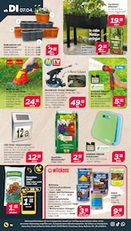 Grasschere Angebot im aktuellen Netto mit dem Scottie Prospekt auf Seite 18