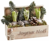 Composition jardinière en bois 3 jacinthes en promo chez Lidl Toulon à 8,99 €