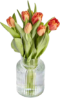 Herbsttulpen bei EDEKA im Pirmasens Prospekt für 3,49 €