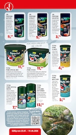Aktueller Zookauf Prospekt mit Garten, "Sonne, Spaß und tierische Angebote", Seite 10