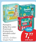 Baby Dry von Pampers im aktuellen budni Prospekt für 7,77 €