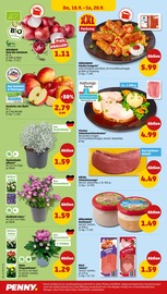 Aktueller Penny Prospekt mit Schweinebraten, "Wer günstig will, muss Penny.", Seite 30