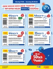 Ähnliche Pflastersteine Angebote im Prospekt "Aktuelle Angebote" von Netto Marken-Discount in Görlitz Ähnliche Angebote wie Pflastersteine im Prospekt "Aktuelle Angebote" auf Seite 35 von Netto Marken-Discount in Görlitz