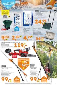 Pflanzen im Globus-Baumarkt Prospekt "Immer eine Idee besser" mit 14 Seiten (Trier)