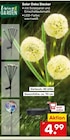 Solar Deko Stecker Angebote von Living Garden bei Netto Marken-Discount Bocholt für 4,99 €