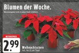 Weihnachtsstern bei EDEKA im Stolberg Prospekt für 2,99 €