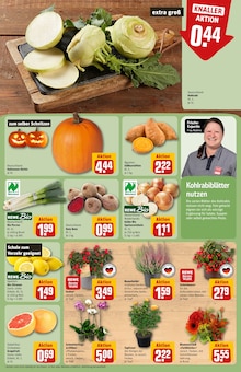 Kürbis im REWE Prospekt "Dein Markt" mit 30 Seiten (Frankfurt (Main))