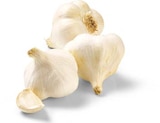 Knoblauch im Netto Marken-Discount Prospekt Bio Knoblauch von BioBio im aktuellen Netto Marken-Discount Prospekt