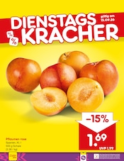 Pflanzen im Netto Marken-Discount Prospekt in Suhl Aktueller Netto Marken-Discount Prospekt mit Pflanzen, "Aktuelle Angebote", Seite 23