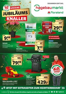 Aktueller Hagebaumarkt Prospekt "UNSERE JUBILÄUMS KNALLER" Seite 1 von 32 Seiten für Weilheim