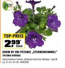 Petunie „Sternenhimmel“ bei OBI im Umpferstedt Prospekt für 2,99 €