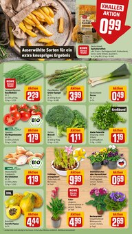 Kartoffeln im REWE Prospekt "Dein Markt" mit 32 Seiten (Jena)