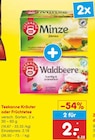 Minze im Angebot bei Netto Marken-Discount in Remscheid Minze Angebote von Teekanne bei Netto Marken-Discount Remscheid für 2,00 €