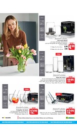 Aktueller EDEKA Prospekt mit Blumentopf, "Aktuelle Angebote", Seite 66